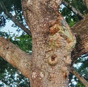 Meet your Posher, Ed